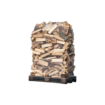 Buche gewickelt auf Palette